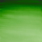 W&N Artists' Watercolour - Hooker's Green S1