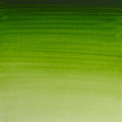 W&N Artists' Watercolour - Permanent Sap Green S1