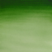 W&N Cotman Watercolour - Hooker's Green Light