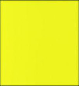 Faber Castell Polychromos Pencil - Light Cadmium Yellow