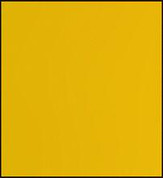 Faber Castell Polychromos Pencil - Cadmium Orange