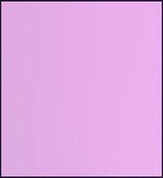 Faber Castell Polychromos Pencil - Pink Madder Lake