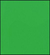 Faber Castell Polychromos Pencil - Emerald Green
