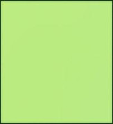 Faber Castell Polychromos Pencil - Light Green