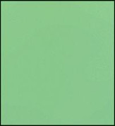 Faber Castell Polychromos Pencil - Earth Green 
