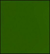 Faber Castell Polychromos Pencil - Chrome Green Opaque