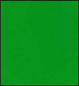 Faber Castell Polychromos Pencil - Dark Phthalo Green