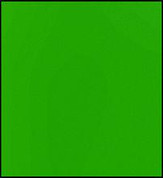 Faber Castell Polychromos Pencil - Permanent Green