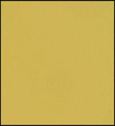 Faber Castell Polychromos Pencil - Gold