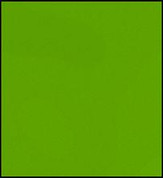 Faber Castell Pitt Pastel Pencil - Earth Green Yellowish