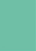 Clairefontaine Maya Paper - Mint