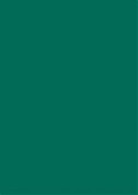 Clairefontaine Maya Paper - Antique Green