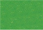 Sennelier Soft Pastels - Baryte Green 760