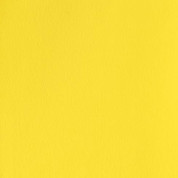 Winsor & Newton Designers' Gouache - Lemon Yellow S1