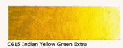 Old Holland Acrylic - Indian Yellow Green Extra - Series C - 60ml