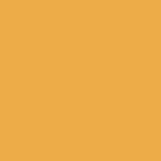 Caran D'ache - Luminance Coloured Pencil - Yellow Ochre