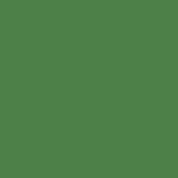Caran D'ache - Luminance Coloured Pencil - Moss Green
