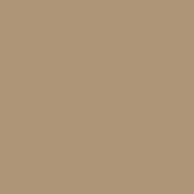 Caran D'ache - Luminance Coloured Pencil - Olive Brown 50%