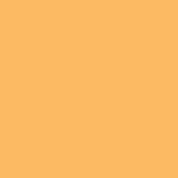 Caran D'ache - Pablo Oil Pencil - Orangish Yellow