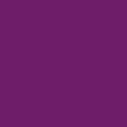 Caran D'ache - Pablo Oil Pencil - Purple Violet