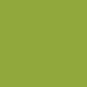 Caran D'ache - Supracolor Watersoluble Pencil - Khaki Green