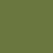 Caran D'ache - Supracolor Watersoluble Pencil - Olive Grey