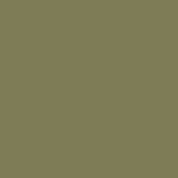 Caran D'ache - Supracolor Watersoluble Pencil - Olive Brown 