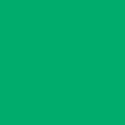 Caran D'ache - Supracolor Watersoluble Pencil - Veronese Green