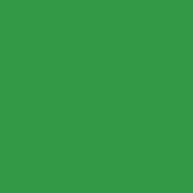 Caran D'ache - Supracolor Watersoluble Pencil - Emerald Green