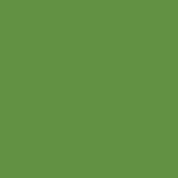 Caran D'ache - Supracolor Watersoluble Pencil - Moss Green