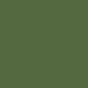 Caran D'ache - Supracolor Watersoluble Pencil - Dark Green