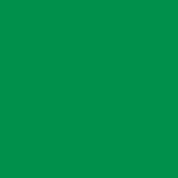 Caran D'ache - Neopastel Oil Pastel - Spruce Green