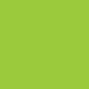 Caran D'ache - Neocolor I Water Resistant Pastel - Yellow Green