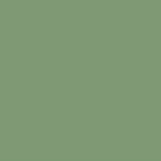 Caran D'ache - Neocolor II Water-soluble Pastel - Chromium Oxide Green