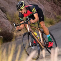 Wood Features Renovo by Pure Timber