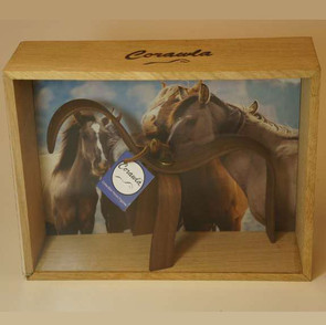 Special Edition solid walnut Corawla in solid white oak presentation box.
