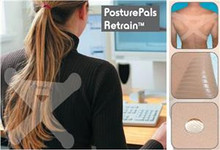 Physio Equip Thoracic Support