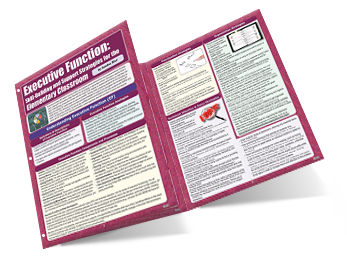 Executive Function: Skill-Building Support Strategies for the Elementary Classroom