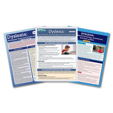 Dyslexia laminated guide bundle