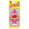Little Trees Air Fresheners *Watermelon* - 24 Pack.