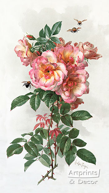 Wild Roses by Paul de Longpre - Framed Art Print