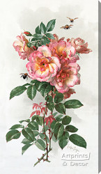 Wild Roses by Paul de Longpre - Stretched Canvas Art Print