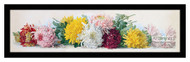Study of Chrysanthemums - Framed Art Print