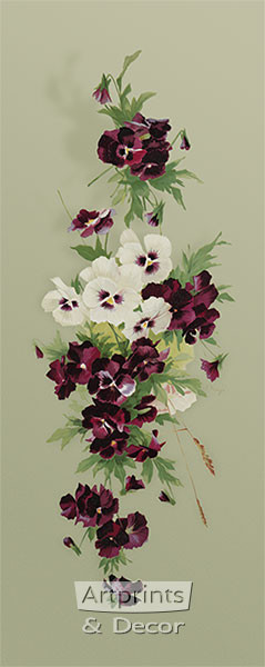 Purple & White Pansies by Emilie Vouga - Framed Art Print
