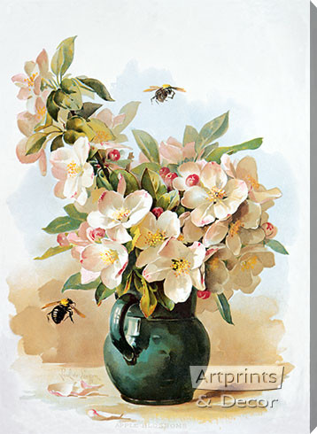 Apple Blossoms by Paul de Longpre - Stretched Canvas Art Print