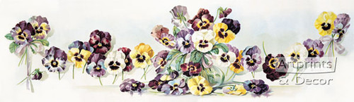 Bouquet of Pansies by Heinmüller - Framed Art Print