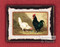 Pecking Order by C.H. Jacquez - Framed Art Print