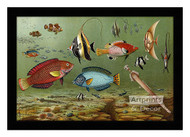 Fish Aquarium II - Framed Art Print