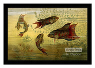 Fish Aquarium IV - Framed Art Print
