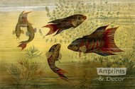 Fish Aquarium - Art Print